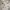 Lounge Garden Bad BF 60x60 light sand D2-cut